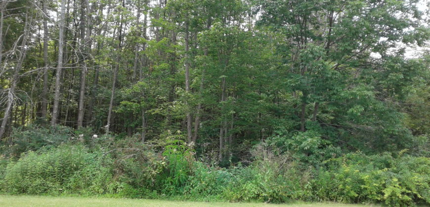 Naugle Drive/Fifty Acre Road – Lot 2
